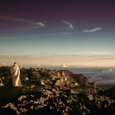 Quang Hợp Công Sở: Giải Mã 'Cơn Đói Sinh Học' Đằng Sau Hào Quang Lãnh Đạo