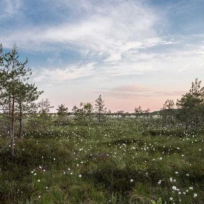 Lời nguyền 'Sợi dây xuyên đại dương': Khi 12 năm thất bại của Cyrus West Field định hình lại khái niệm 'thời gian thực'