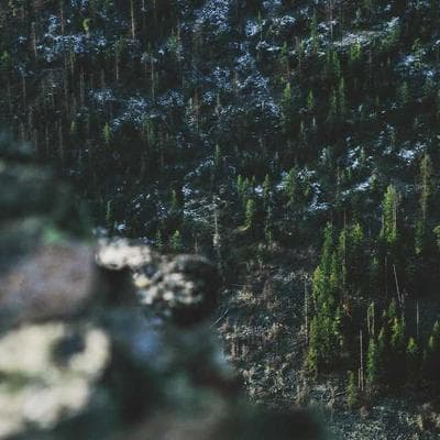 Đế Chế Không Biên Giới: Khi Thuật Toán Trở Thành 'Chúa Tể' Của Sapiens