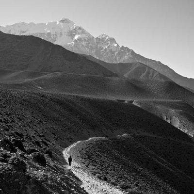 Bước ngoặt y tế số: Fujifilm và chiến lược quản trị hình ảnh tập trung tại Việt Nam