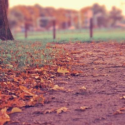 Lập trình nhịp sinh học: Ánh sáng và Âm thanh - Biến phòng ngủ thành trạm sạc 0 đồng