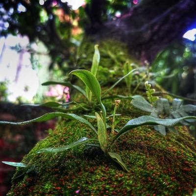 Cuộc Đảo Chính Silicon 20 | Tập 5: Bóng ma Silicon và Những Kẻ Sống Sót: Ai Sẽ Cầm Lái Khi Những 'Vị Thần' Code Đã Ngã Ngựa?