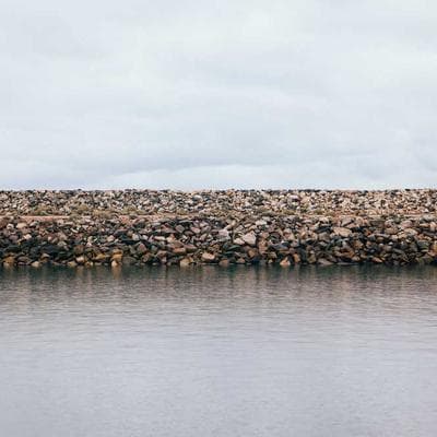 Đội Quân Vi Khuẩn Trong Bụng: Ai Đang Thực Sự Cầm Lái Con Tàu Ý Chí Của Bạn?