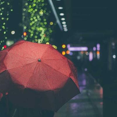 Bất Tử Hay Tuyệt Chủng? Khi Dự Án Gilgamesh Biến Chúng Ta Thành 'Thần Thánh'