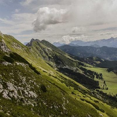 Tiếng Đục Chạm Giữa Những 'Siêu' Robot: Khi Củi Lũ Kể Chuyện Tương Lai