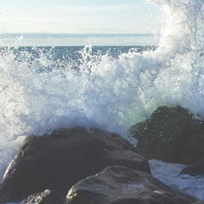 Tư Duy Tùy Biến | Tập 6: Tại sao cái ly của bạn lại 'đắt' hơn cái ly của tôi?