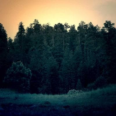 AI Revolution - Tập 9: Kỷ nguyên của AI Agents - Khi AI không chỉ nói mà còn biết hành động