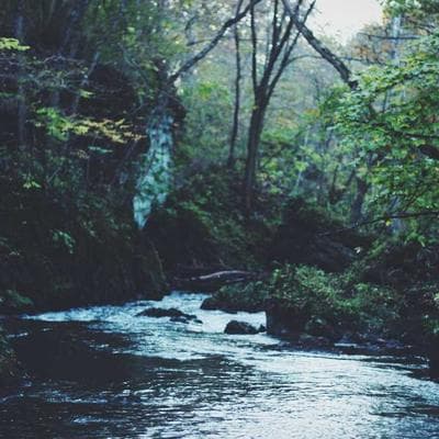 Vết Nứt Từ Sự Kiêu Hãnh: Thảm Họa Cửa Sổ Vuông Và Bài Học Đắt Giá Của Bình Minh Phản Lực