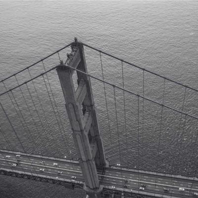 Bản Giao Hưởng Của Những Vi Sinh Vật: Khi Hũ Dưa Của Bà Cứu Rỗi 'Bộ Não Thứ Hai'