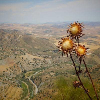 Tiền Thông Minh #12: Chiến lược 'Giờ thứ 25' - Bí kíp để không bao giờ 'cháy túi' trước cuối tháng