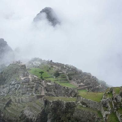 Tập 3: Bản Năng Gốc Và Đồng Tiền Số - Tại Sao Chúng Ta Tiêu Tiền 'Vô Tri'?