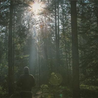 Cuộc Chiến Mạng Vạn Vật | Tập 4: Bản Ngã Nổi Loạn: Khi Người Dùng 'Rút Phích Cắm' Khỏi Những Thuật Toán Biết Tuốt