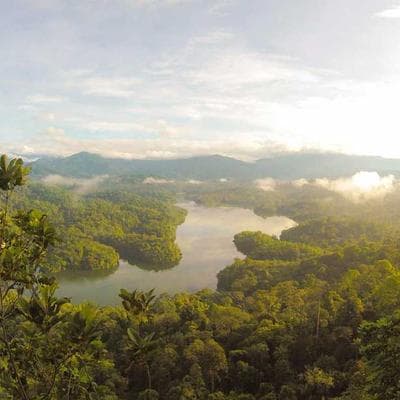 Hoàng Nguyên Thanh và 'Biển Người' Tokyo 2026: Khi Kỷ Lục Không Chỉ Là Những Con Số