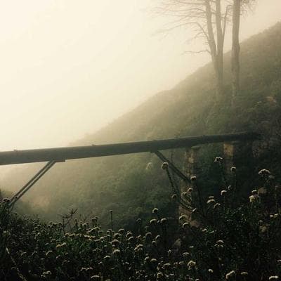 Tập 28: Tại Sao Một Lời Chê Lại Đau Hơn Mười Lời Khen? Khám Phá Quyền Năng Của Sự Ám Ảnh Tổn Thất