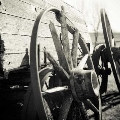 Mật Mã Im Lặng: Khi 'Ngừng Nói' Trở Thành Vũ Khí Tối Thượng Của Nhà Lãnh Đạo Tỉnh Thức