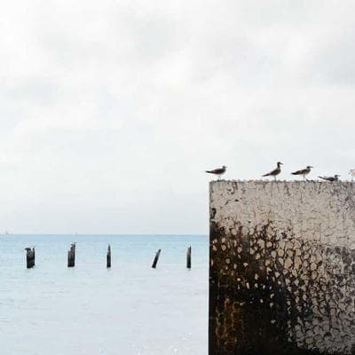 Nghịch Lý Lòng Tốt: Vì Sao 'Kẻ Ích Kỷ' Thường Thua Đậm?