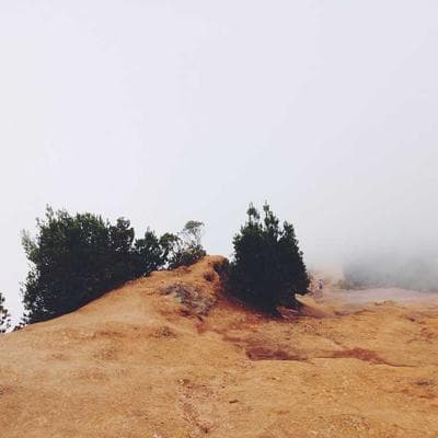 Khi 'Lực Hấp Dẫn' Không Cứu Được Túi Tiền: Isaac Newton và Cú Ngã 1.000 Tỷ