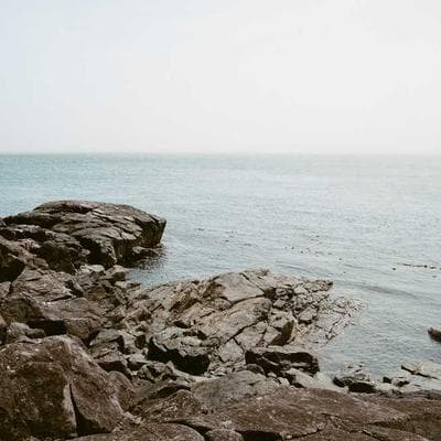 Claude 3 "Soán Ngôi" GPT-4: Đừng Bắt AI Phải Nói Dối Khi Trí Tuệ Nhân Tạo Đã Chạm Ngưỡng Con Người