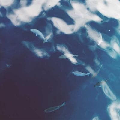 Kỷ Nguyên MacBook | Tập 2: Cái Giá Của Sự Hoàn Hảo Cực Đoan: Khi 'Mỏng' Trở Thành Một Lời Nguyền