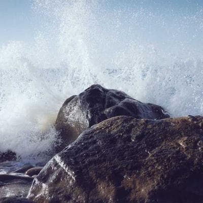 Tư Duy Tùy Biến | Tập 5: Khi "Cố Quá" Thành "Quá Cố": Tại Sao Chúng Ta Thường Đắm Thuyền Vì Tiếc Một Cái Neo?