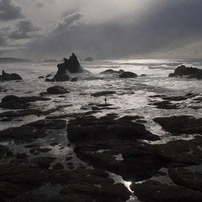 Bí Quyết 'Small Wins': Cách Hệ Thống Giám Sát Giúp Bạn Duy Trì Thói Quen Mãi Mãi