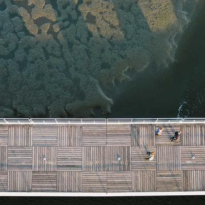 Tập 3: Nghệ Thuật 'Bắt Chuyện' - Thu Hút Đối Tác Ngay Từ 30 Giây Đầu