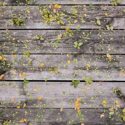 Bí Quyết Để Người Khác Tin Rằng Họ Là Người Khởi Xướng: Nghệ Thuật Thỏa Thuận Đỉnh Cao