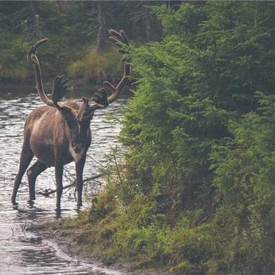 Tập 3: Những Khoảng 'Hổng' Vô Hình - Tại Sao Kiếm Nhiều Vẫn Không Dư?