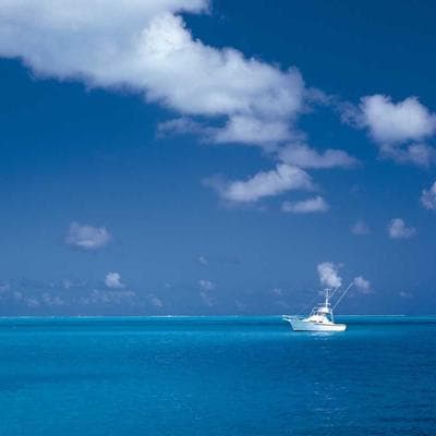 Làm Sếp Giỏi - Tập 8: Nghệ thuật Feedback 360 - Cách khen và chê để nhân viên nể phục