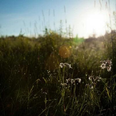 Di Sản Từ Phế Tích: Chiếc Lego Của Cha Và Bản Phác Thảo STEM Trong Lòng Lịch Sử