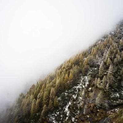 Hậu Kỳ DaVinci Resolve | Tập 4: Khi Màu Sắc Biết Nói Dối: Nghệ Thuật Cân Bằng Trắng Và Phơi Sáng "Cứu Nguy" Thước Phim