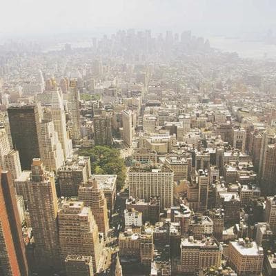 Mạng Lưới Thuật Toán: Khi Dữ Liệu Vẽ Nên Bản Đồ Bất Tử Của Loài Người