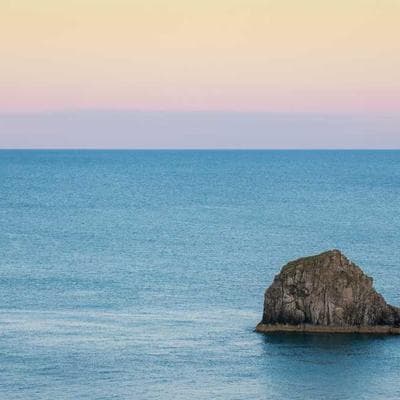 Chiến Trường Silicon 2024 | Tập 1: Phát Súng Cookies: Khi Internet Đột Ngột 'Mất Trí Nhớ' Và Cuộc Di Tản Khỏi Những Khu Vườn Khép Kín