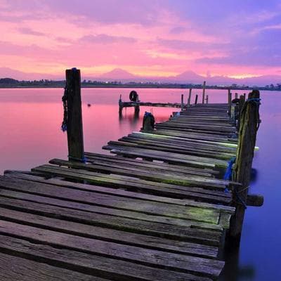 Sương Mù Đại Sát 1952: Khi 'Sự Béo Phì' Của Khí Thải Bức Tử Trái Tim London