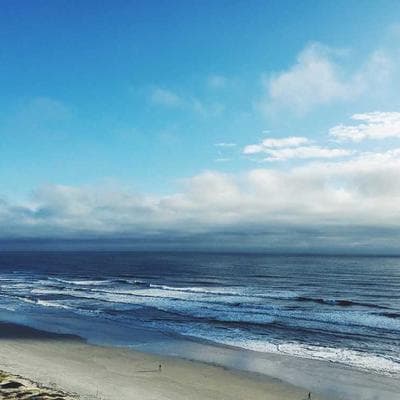 Nghệ Thuật 'Cám Dỗ' Bản Thân: Biến Thói Quen Khó Thành Niềm Vui Không Thể Cưỡng Lại