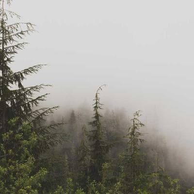 Ghế nóng trạm sạc VinFast đổi chủ: Bước ngoặt nào cho tương lai xe điện Việt?