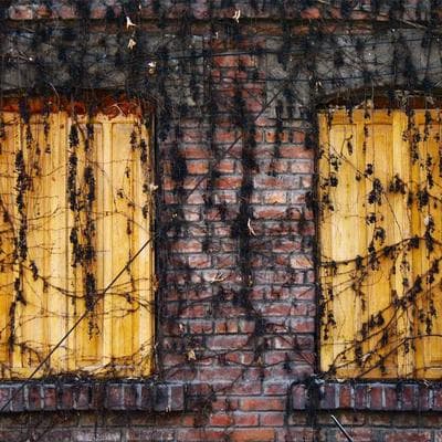 Võ Sư 'Data': Hồi Sinh Linh Hồn Di Sản Giữa Những Dòng Code