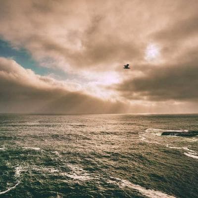 Warren Buffett: Con Hào Kinh Tế - Bí Mật Chọn Cổ Phiếu 'Bất Khả Xâm Phạm'