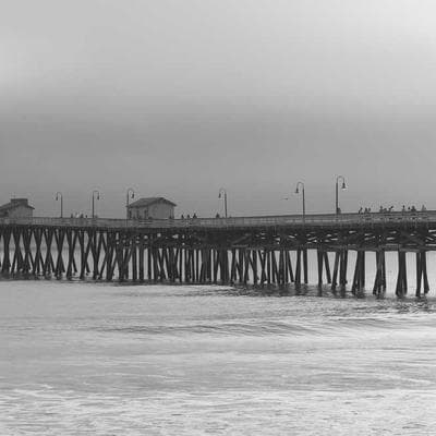 Bản Giao Hưởng Nơ-ron: Cuộc Tái Sinh Kỳ Diệu Trong Hộp Sọ