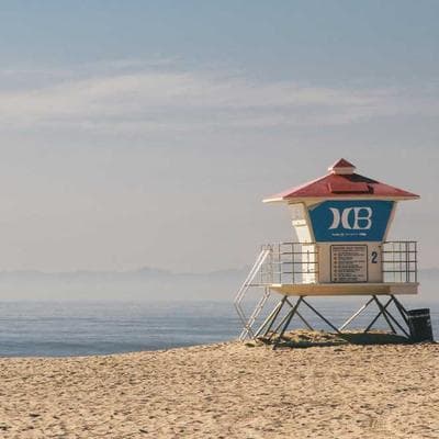 Nghịch lý của cái chết: Tại sao rủi ro cực độ là 'suối nguồn tươi trẻ' của não bộ?