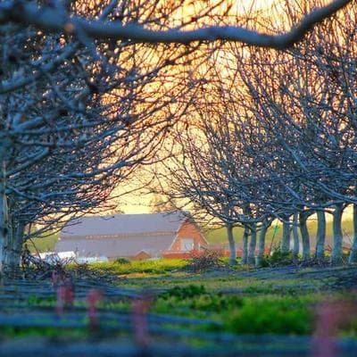 Đội Hình 'Moneyball' Cho Ví Tiền: Tại Sao Chỉ Số xG Là 'Phao Cứu Sinh' Giúp Bạn Thoát Khỏi Cảnh Trắng Tay?