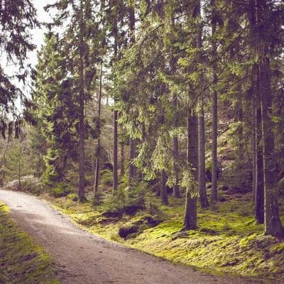 Sapiens Tập 7: Khi Thuật Toán Lên Ngôi 'Thần Thánh' – Bạn Còn Giữ Được Mình?