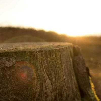 Kỷ Nguyên Máy Tính | Tập 4: Khi Những 'Đứa Trẻ Ham Chơi' Trở Thành Cỗ Máy In Tiền Tỷ Đô