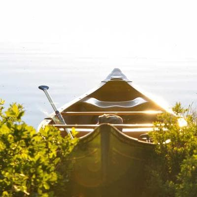 Bước ngoặt sinh tử: Hiến tạng từ người 'chết tim' - Khi trái tim ngừng đập, sự sống vẫn tiếp nối