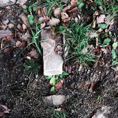 Hơi Thở Seafoam: Chiếc Neo Tĩnh Lặng Giữa Cơn Bão Cảm Xúc