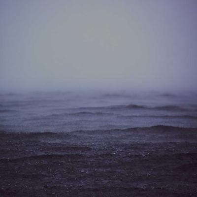 Vũ Trụ 25: Khi 'Thiên Đường' Trở Thành Nấm Mồ – Nghịch Lý Của Sự Sung Túc Và Lời Cảnh Báo Cho Nhân Loại