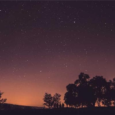 Nghịch lý 'Lướt' và Nghĩa địa dữ liệu: Tại sao chúng ta đang 'chết đuối' trong đại dương thông tin nhưng lại 'khát' tri thức thực thụ?