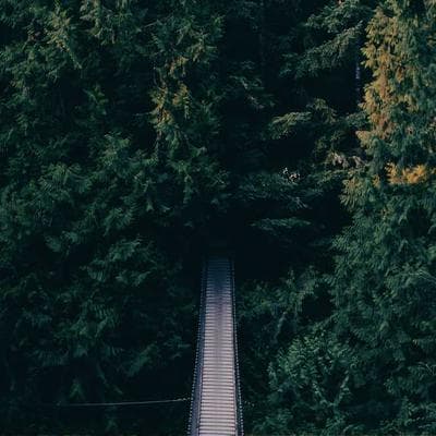 Đừng Chủ Quan! Những Dấu Hiệu Ung Thư Vòm Họng Bị Bỏ Qua Nhiều Nhất