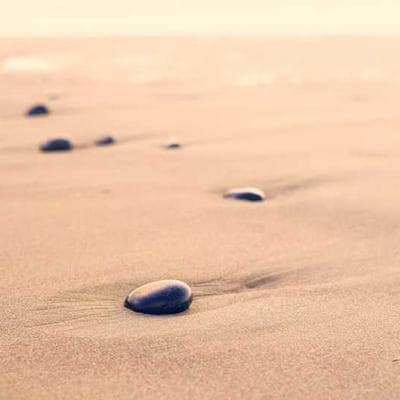 Lập trình thói quen: Biến kỷ luật thành 'Auto-run' trong hệ điều hành cá nhân