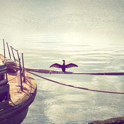 Bất Động Sản 2024-2025: Bong Bóng Hay Cơ Hội Vàng? Giải Mã Thị Trường Cho Người Việt